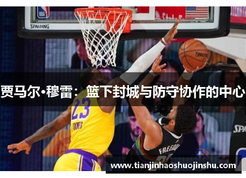 贾马尔·穆雷：篮下封城与防守协作的中心
