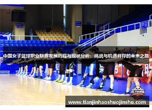 中国女子篮球职业联赛发展历程与现状分析：挑战与机遇并存的未来之路