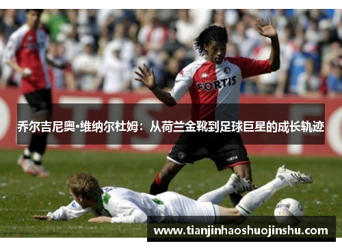 乔尔吉尼奥·维纳尔杜姆：从荷兰金靴到足球巨星的成长轨迹