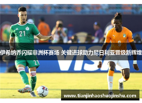 伊希纳乔闪耀非洲杯赛场 关键进球助力尼日利亚晋级新辉煌