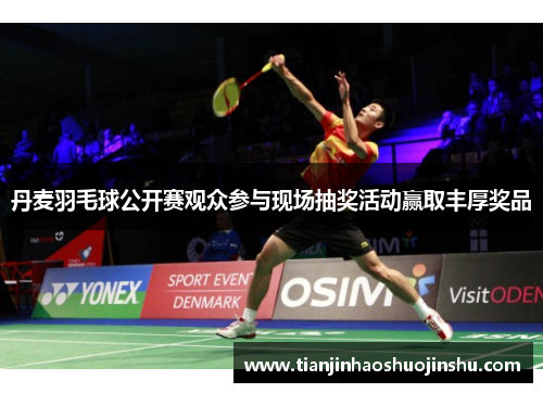 丹麦羽毛球公开赛观众参与现场抽奖活动赢取丰厚奖品