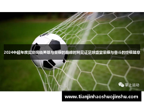 2024中超年度奖项揭晓英雄与荣耀的巅峰时刻见证足球盛宴荣耀与奋斗的终极篇章