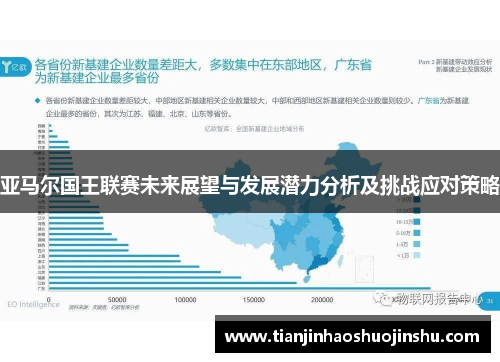 亚马尔国王联赛未来展望与发展潜力分析及挑战应对策略