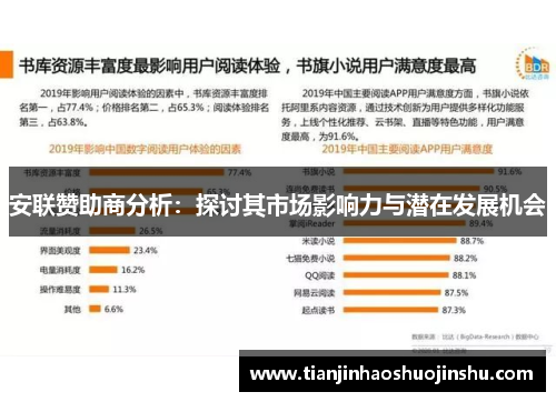 安联赞助商分析：探讨其市场影响力与潜在发展机会