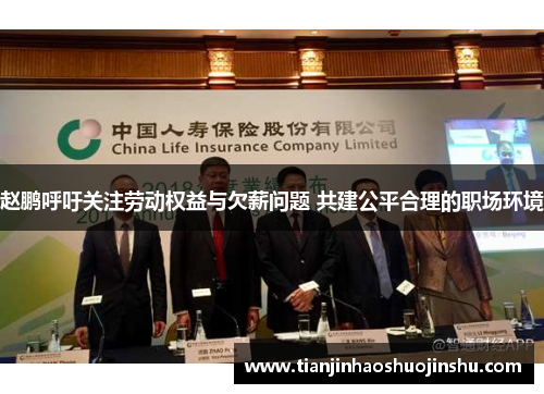 赵鹏呼吁关注劳动权益与欠薪问题 共建公平合理的职场环境