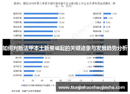 如何判断法甲本土新星崛起的关键迹象与发展趋势分析