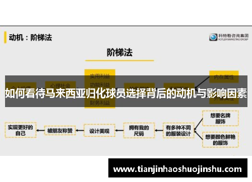 如何看待马来西亚归化球员选择背后的动机与影响因素
