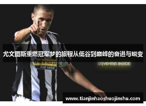 尤文图斯重燃冠军梦的旅程从低谷到巅峰的奋进与蜕变