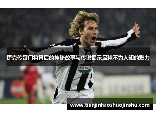 捷克传奇门将背后的神秘故事与传说揭示足球不为人知的魅力