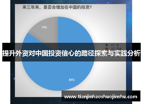 提升外资对中国投资信心的路径探索与实践分析 提升外资对中国投资信心的路径探索与实践分析
