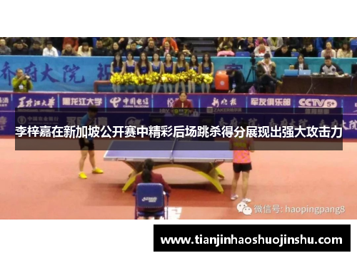 李梓嘉在新加坡公开赛中精彩后场跳杀得分展现出强大攻击力 李梓嘉在新加坡公开赛中精彩后场跳杀得分展现出强大攻击力
