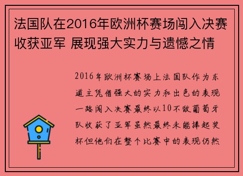 法国队在2016年欧洲杯赛场闯入决赛收获亚军 展现强大实力与遗憾之情